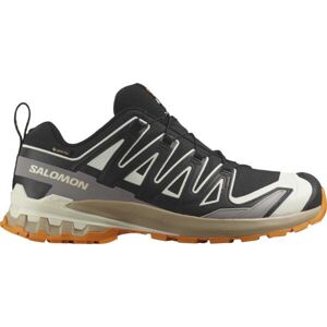 Salomon XA PRO 3D V9 GTX Pánská obuv na trailový běh, černá, velikost 42 2/3